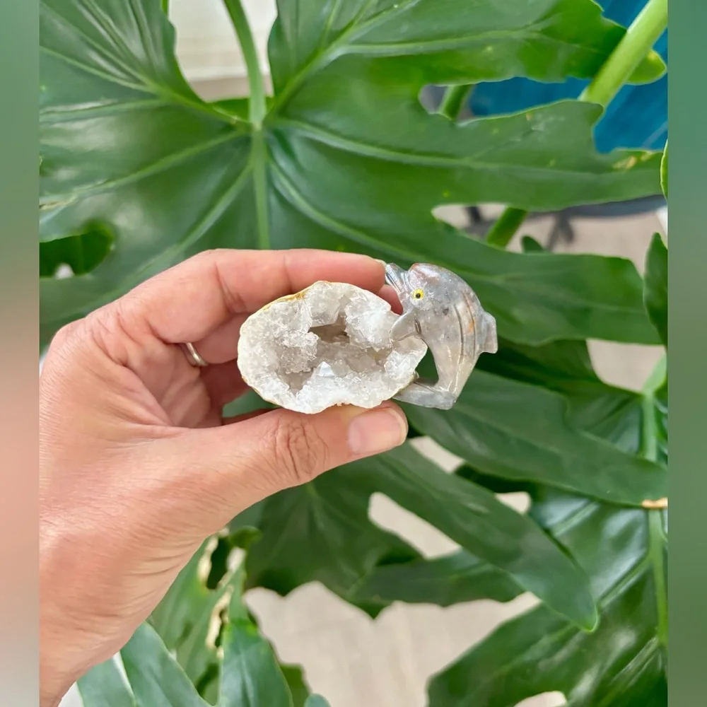Dolphin figurine ~ Soapstone & Quartz Geode